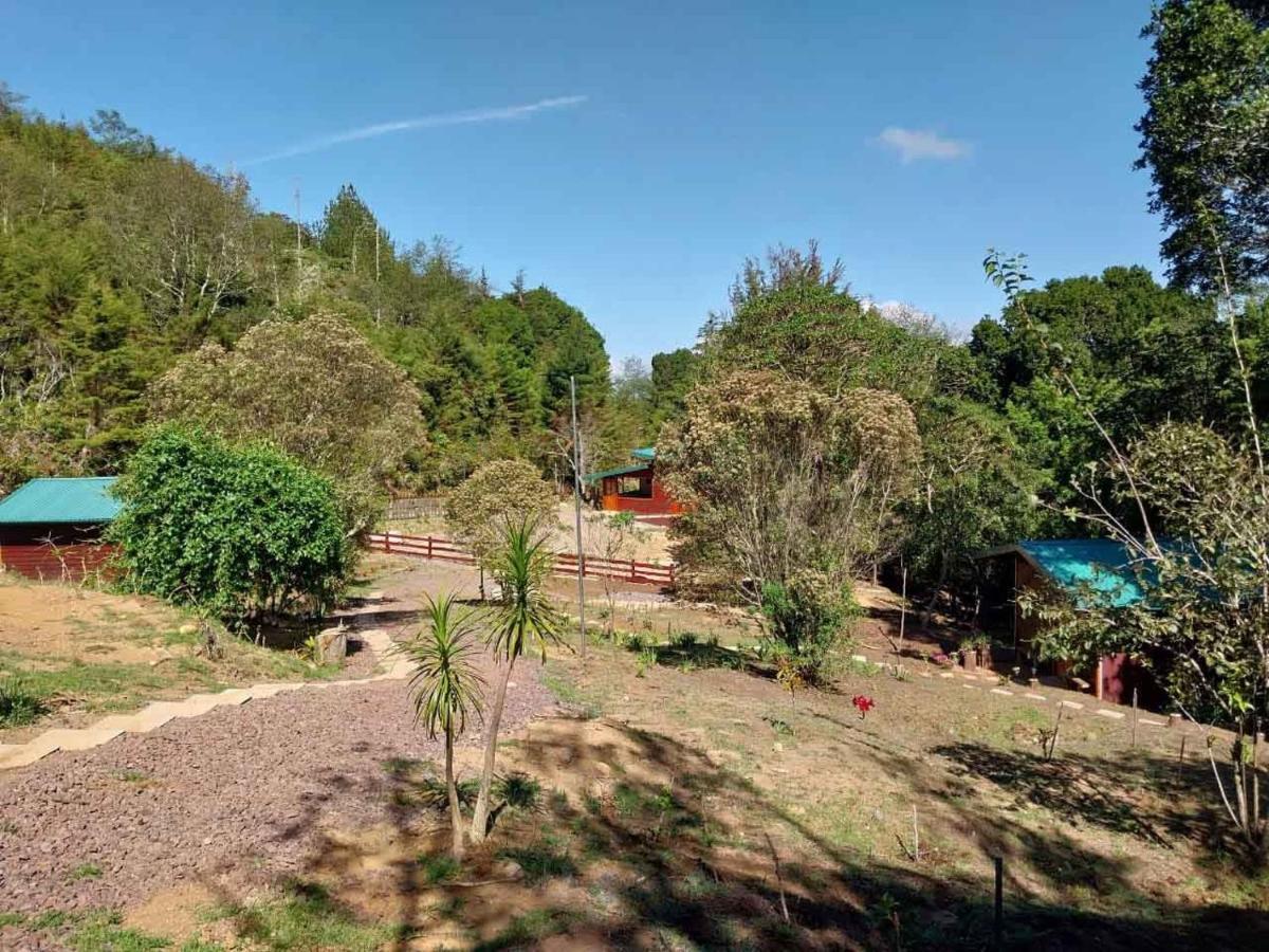 Curuba Lodge Copey Екстериор снимка