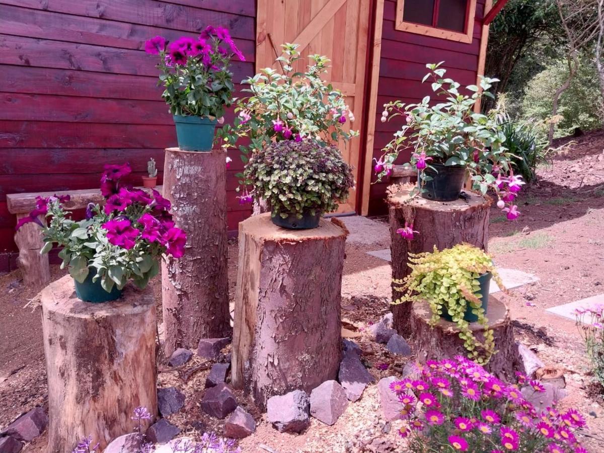 Curuba Lodge Copey Екстериор снимка