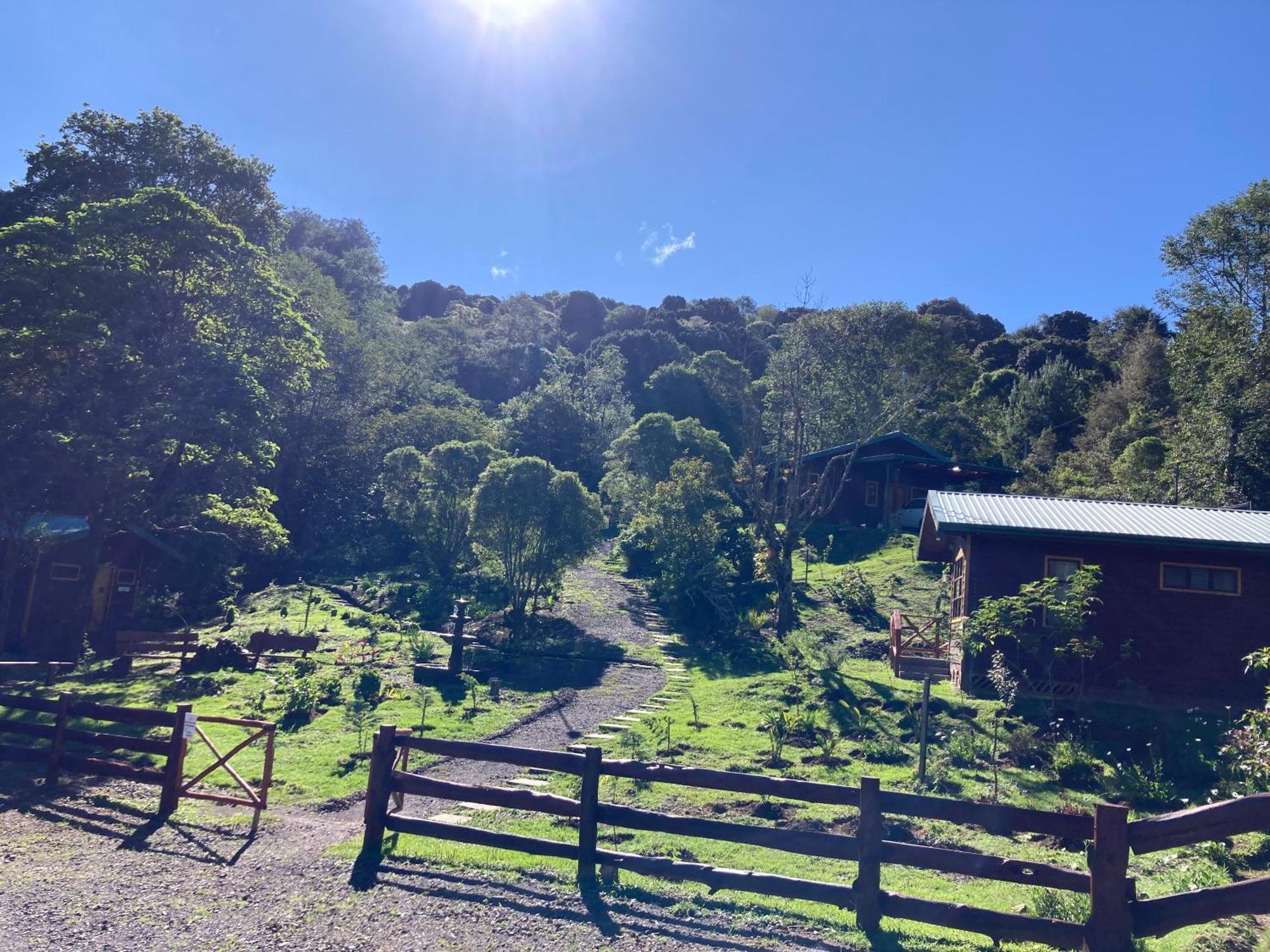 Curuba Lodge Copey Екстериор снимка