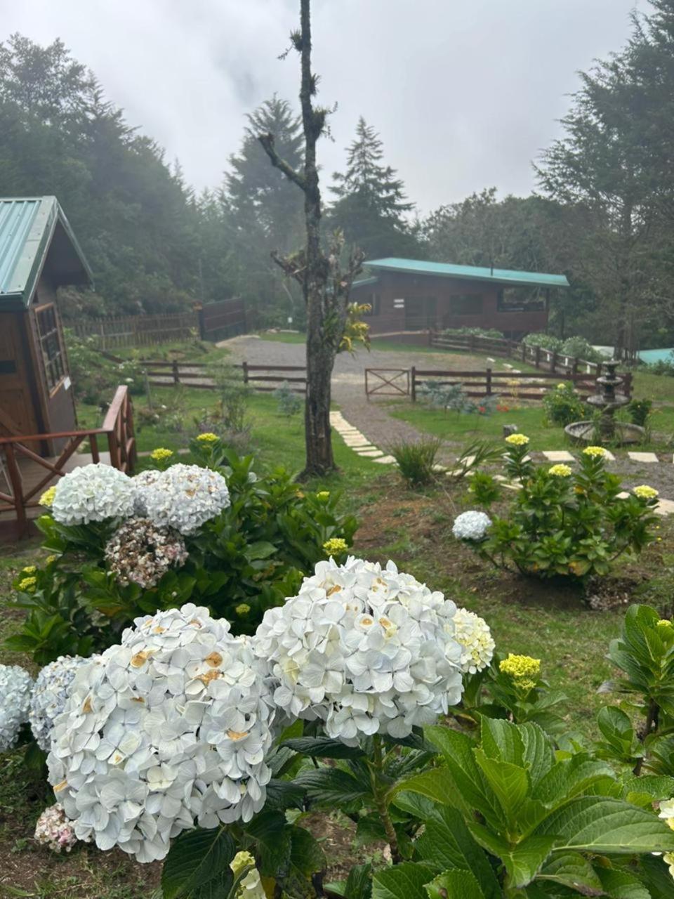 Curuba Lodge Copey Екстериор снимка