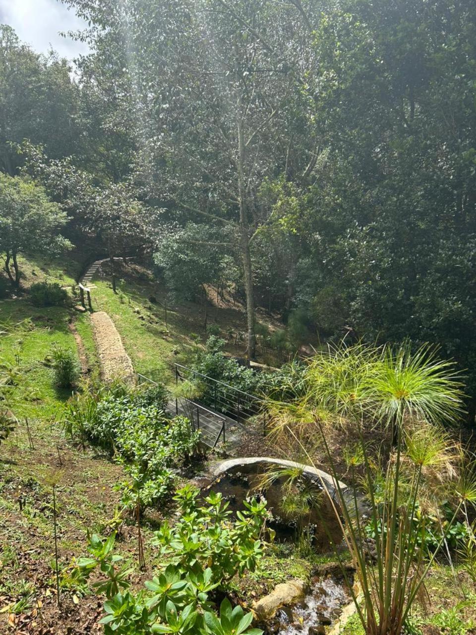 Curuba Lodge Copey Екстериор снимка