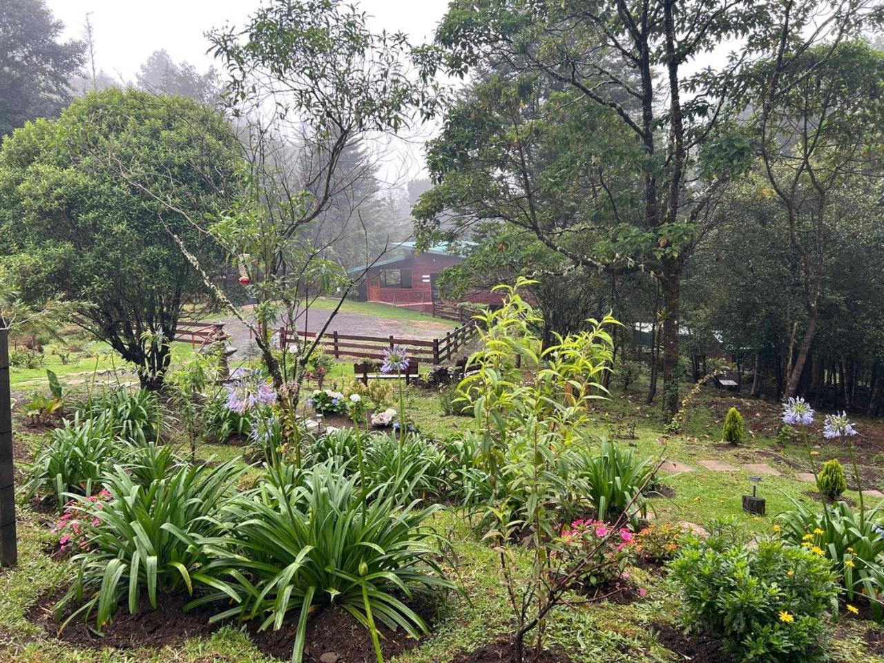 Curuba Lodge Copey Екстериор снимка