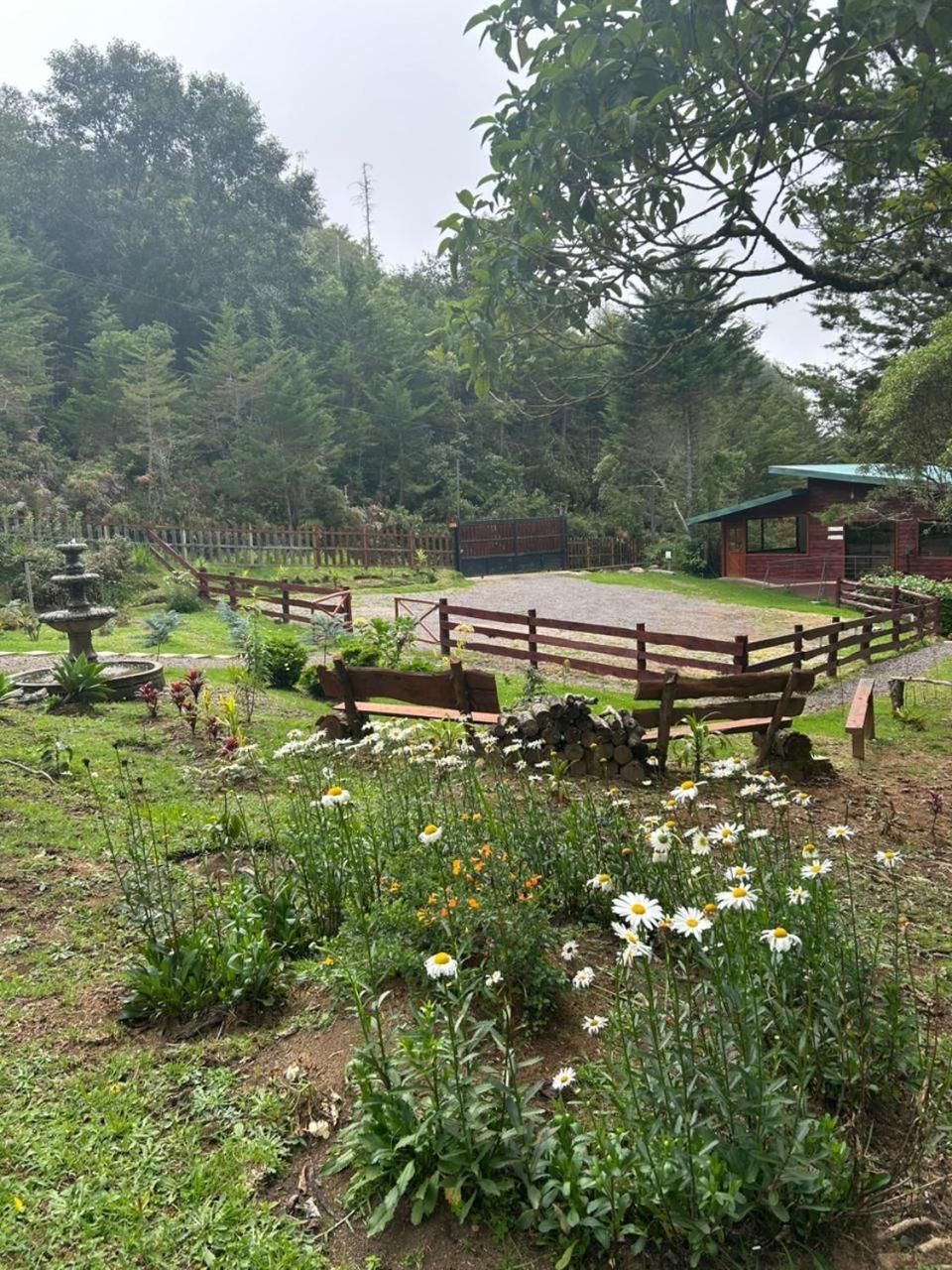 Curuba Lodge Copey Екстериор снимка