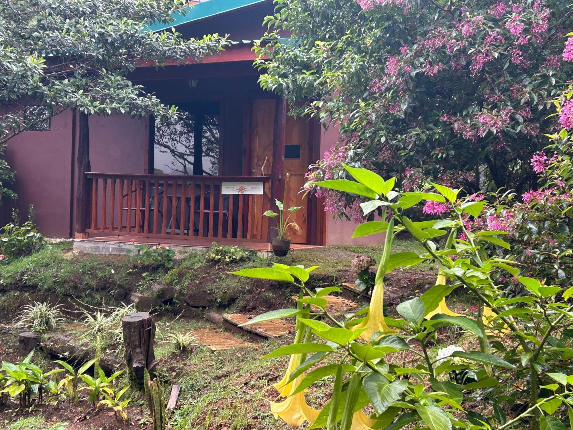 Curuba Lodge Copey Екстериор снимка