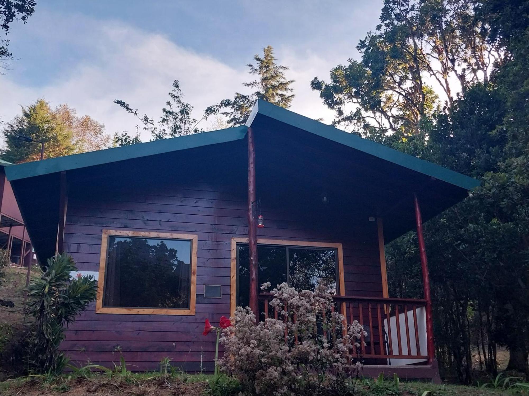 Curuba Lodge Copey Екстериор снимка