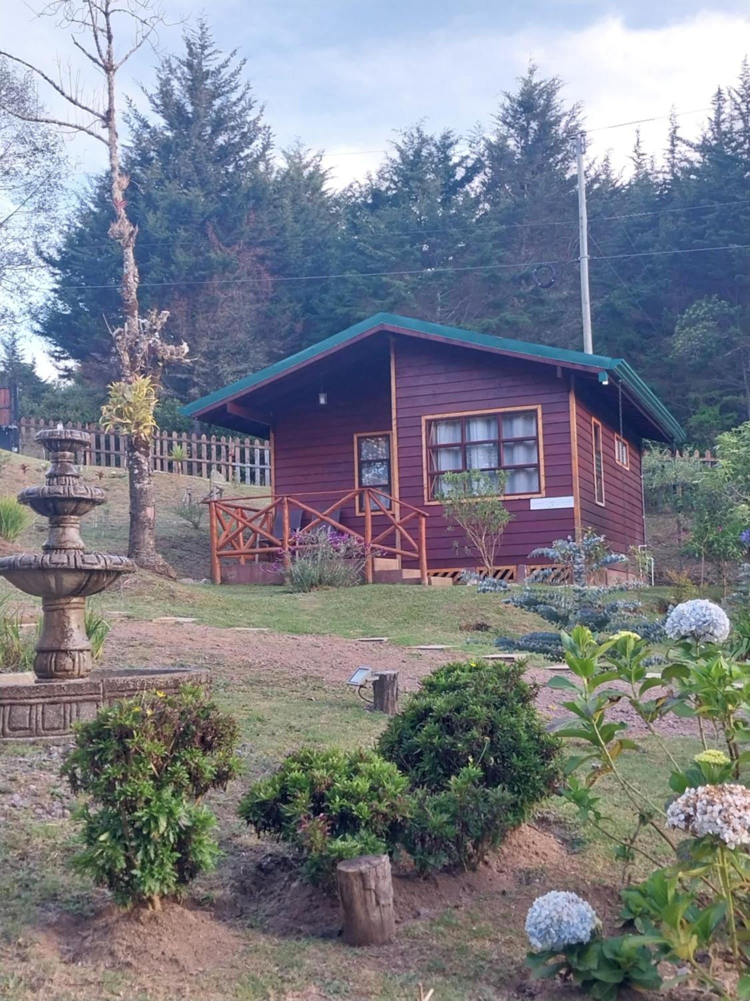Curuba Lodge Copey Екстериор снимка